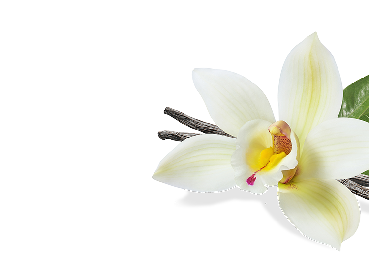 Vanilla-right